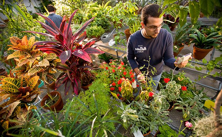 BW's modern biology laboratories include an outdoor native plant and rain gardens, greenhouse, plant growth chambers, insect room and zebrafish aquaria.